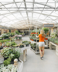 SHELMERDINE_HOME_WINNIPEG_GARDEN_CENTER_SHELMERDINE_MANITOBA_PLANT_ANNUAL_SHOP_BOUTIQUE_GIFT_TREES_SHRUBS