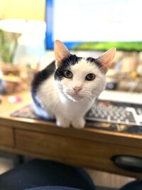 IMG_0463
