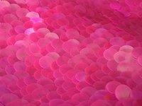 Barbie-PinkSequin-Backdrop-BananaWho-06