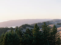 San_Francisco_Wedding_Photographer378336_003
