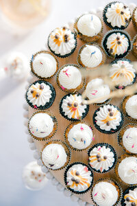 Charleston Wedding Photographer-0027