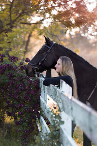 Northern California Equine Portraits