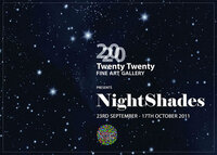 2020 art gallery cork ireland nightshades culture night 2011