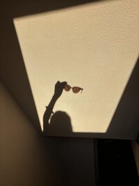 IMG_4443 3