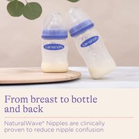 Lansinoh Anti-Colic Baby Bottles for Breastfeeding Babies