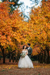 Nestldown-Wedding-Fall-Color-Persimmon