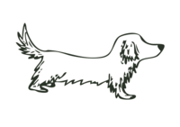 Hand drawn, Dark Green Dachshund Sticker