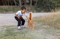 children-photoshoot-mallorca-woods-neco--15