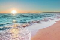 istockphoto-1450094329-612x612