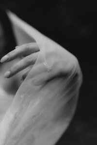 Beautiful photos during an elopement in Christchurch