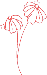 Delicate flower illustration