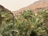 mauritania 8