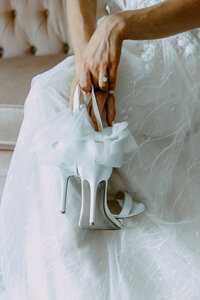 Chicago wedding photographer