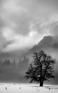 California - Yosemite