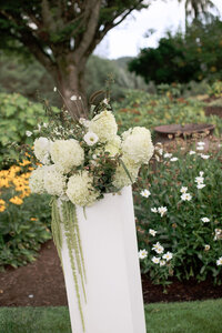 adriannaelizabethphotos-284