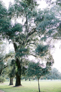 07-10 Stover -0120-2