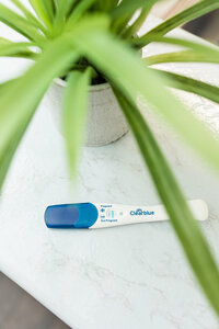 positive pregnancy test with plant