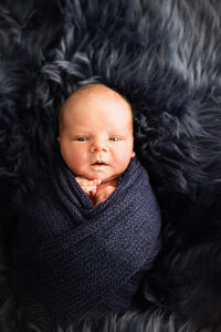 A newborn boy is wrapped in a blue fabric lying on a blue fur rug.