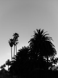Rosewood_Miramar_Wedding-00059