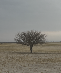 botswana country 6