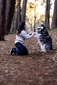 Kendra_Evans_Canine _Photography2026 (4)