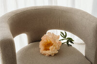 kaboompics_blooming-summer-a-floral-backgrounds-collection-31880