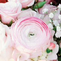 SPWEBSITE-4000