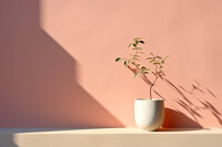 Tranquil Dawn 092124
