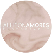 Logo for Allison Amores Photogrpahy containing a muted and swirled mix of blush shades with text in the center