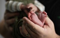 Orange Park newborn capturing a detail of tiny curled toes nestled securely in loving hands, a quiet in-home newborn moment. - A portrait experience by Nature's Child Photography.