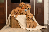 Boys on crate