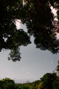 _MMB3058.ARW