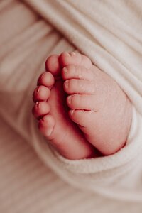 celebrating surrogacy newborn photoshoot,Beautiful newborn portraits in Elk Grove and Sacramento, capturing your baby's precious moments with simple elegance. Book your session today