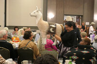 take home llama goodies from the GALA conference