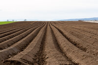 _3206508-neu