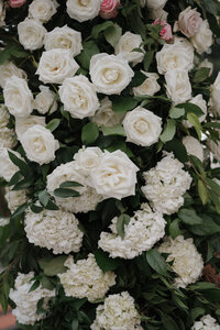 251011NICADE_adv0078