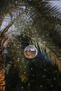 044_MellyKey_TheLane
