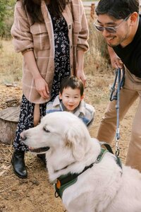 Toddler peeking above his white golden retriever during his family photo session in Palo Alto
