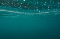 sven-scheuermeier-saGbrA6s8g0-unsplash