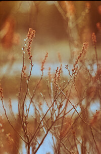 Karysa Creative-0035