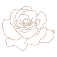 line drawing of rose