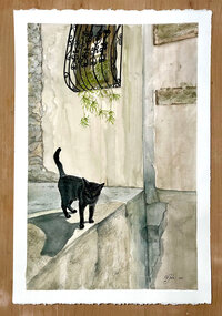 Grecian Cat