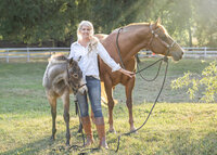 Northern California Equine Portraits