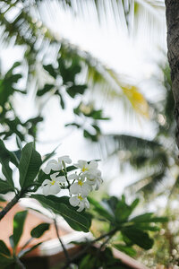 destination-wedding-vietnam-201