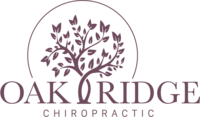 OakRidge Chiropractic logo