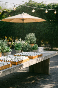 Claire+Patrick_WeddingPreviews_0062
