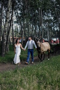 horseback riding - elopement activity ideas