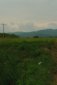 DSCF0105