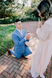 Marriage proposal photos in Chicago and suburbs