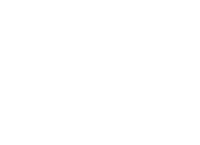 vesna-design-studio-white-logo